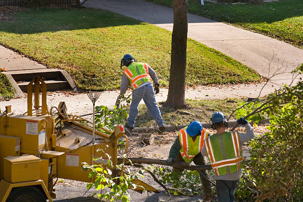 Lawn Drainage Solutions in Red Oaks Mill, NY